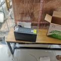 hình đánh giá của Văn Dương
